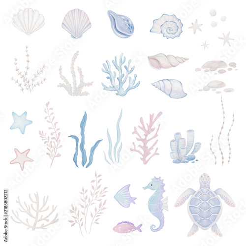 Underwater world clipart with sea animals whale, turtle, seahorse, starfish, shells, coral. Hand drawn watercolor illustration. 