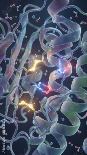 Protein Structure and Chemical Bonds in Biology