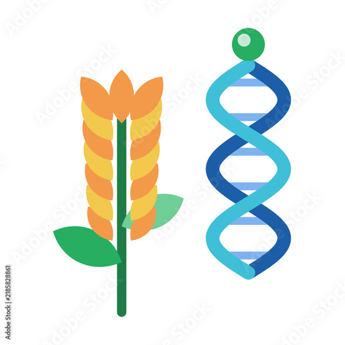 Photography Genetically Modified Wheat Crop with DNA Flat Icon on Transparent Background