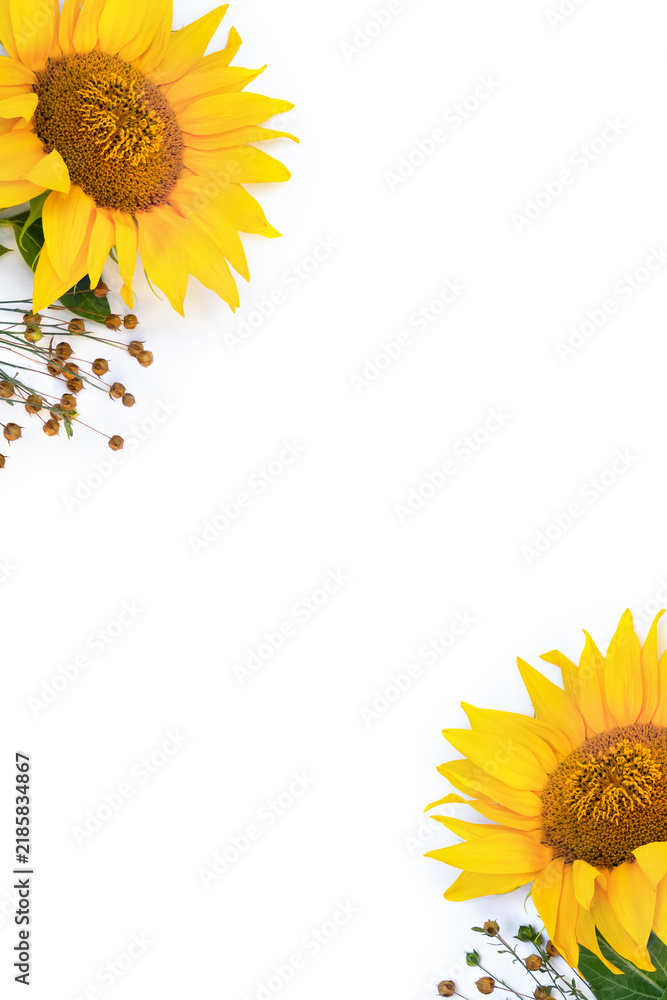 Obraz premium Yellow sunflowers with green leaves and flax seed pods on white background with copy space. Flat lay, top view