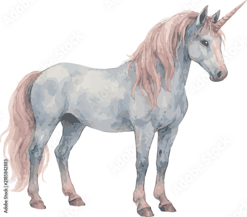 Watercolor vector illustration of a standing unicorn