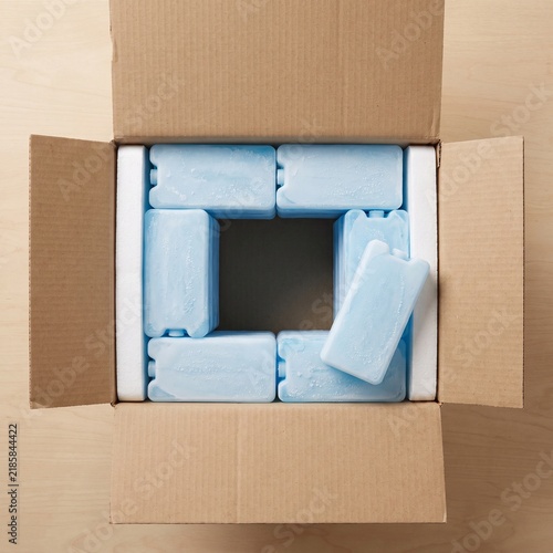 Phase change bricks seated round the cavity of an insulated shipper