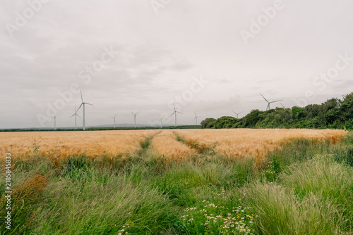 Little Cheyne Court Wind Farm on Romney Marsh, Kent, England, UK - 9 September 2026.