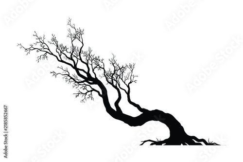 Silhouette of a leaning bare tree isolated on a white background