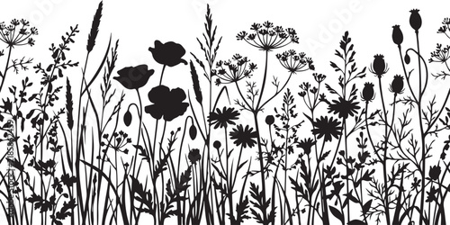 Seamless horizontal border of black silhouettes featuring poppies, meadow grasses, wildflowers, and seed pods on a white background, for botanical patterns