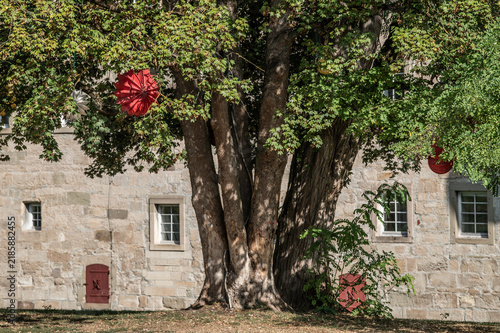 Rote Lampions in grün belaubtem Ahornbaum vor Sandsteinmauer der Renaissance-Festungsanlage Burgschloss mit Sprossenfenstern und roten Fensterladen im Schlosspark in Schorndorf.