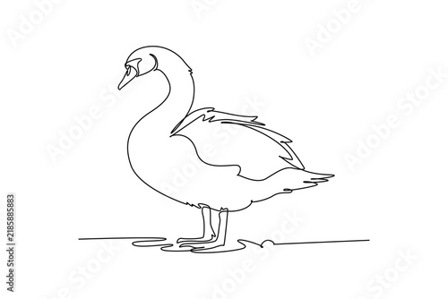 фотографія Continuous one line drawing graceful farm swan standing near ground
