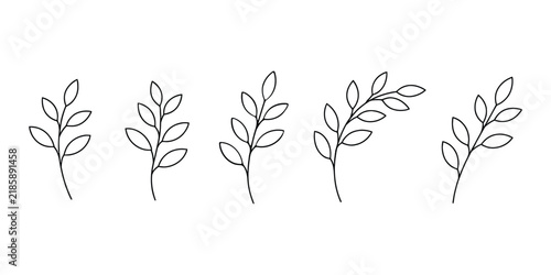Botanical Line Leaf Branch Collection, Minimalist Nature Floral Outline Vector Illustration Set