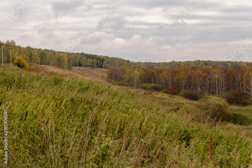 Grassy hillside overlooking a forest ravine and birch grove in autumn
