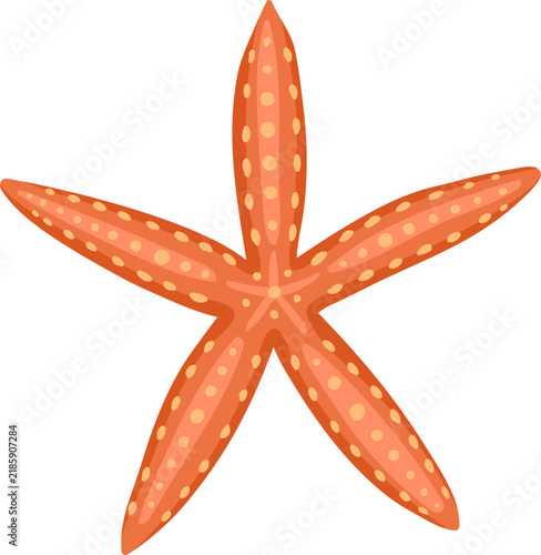 Obraz na plátně Orange starfish with five arms featuring yellow spots, lying on a white backgrou