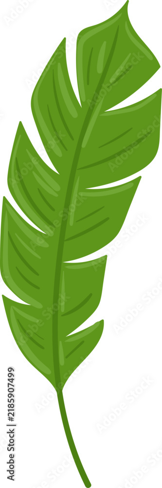 Obraz premium Green banana leaf vector art representing tropical flora and natural beauty