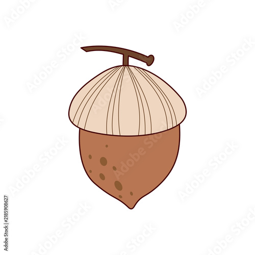 Acorn Botanical Element's