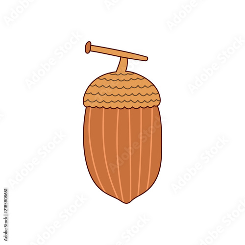 Acorn Botanical Element's