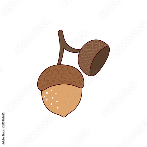 Acorn Botanical Element's