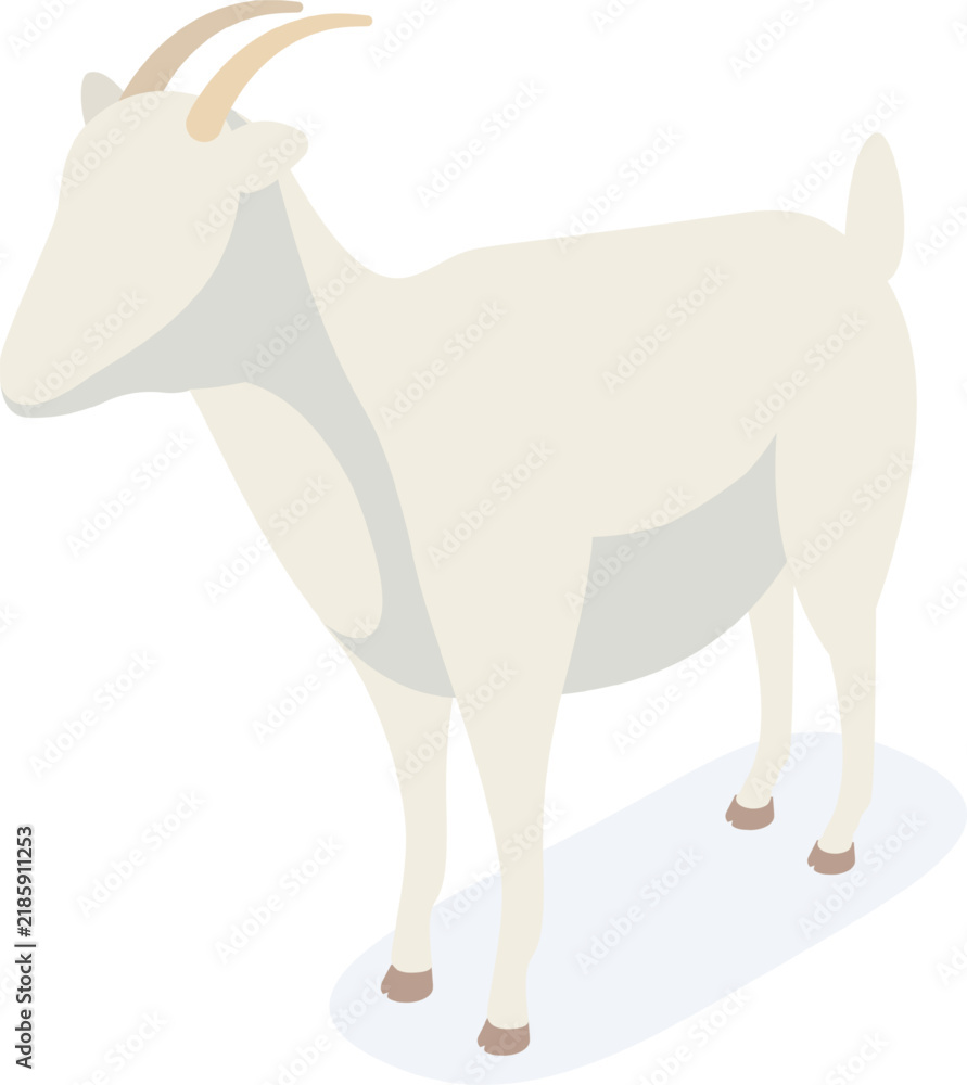 Fototapeta premium White domestic goat standing in isometric view on a clean background