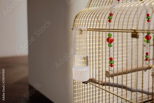 Fotografía Small water dish attached to a bird cage, illustrating everyday pet bird care, hydration and a clean indoor setup for keeping a companion bird at home
