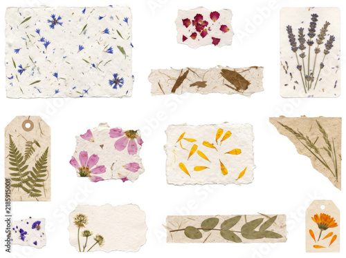 Collection of handmade paper scraps with pressed flowers and leaves isolated on transparent background