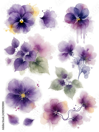 Flowers on white background violets
