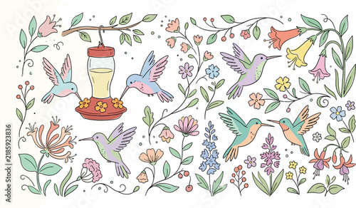 Colorful hummingbird set with floral elements and hanging bird feeder vector.