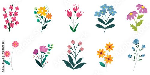 set of colorful flowers