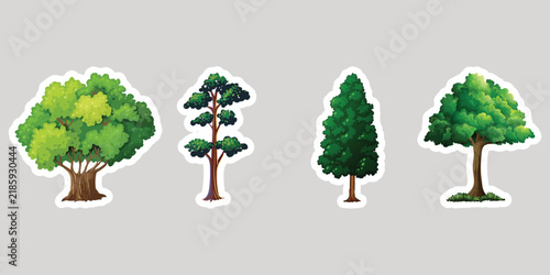 set of four seasons trees