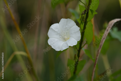 Fotografie Region Teutoburger Wald