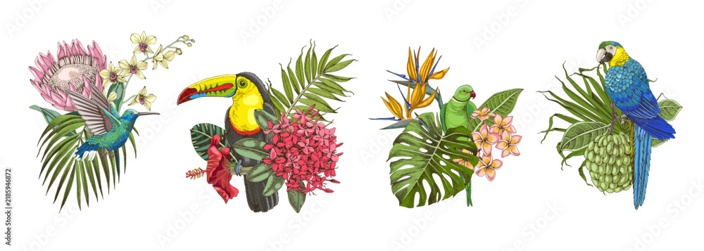Obraz premium Tropical arrangements with fruits, leaves, birds and exotic flowers