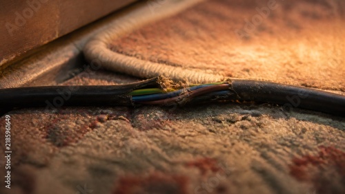 Damaged electrical cable with exposed wires lying on carpet in home. Fire hazard from faulty wiring and short circuit risk.