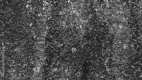 Weathered black and white surface texture with fine grain, rough details, and organic patterns, perfect for monochrome backgrounds, abstract art, and graphic design.