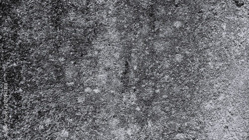 Quadro su tela Rough black and white textured surface with dense granular details and subtle organic patterns, ideal for abstract backgrounds, grunge overlays, and monochrome graphic design