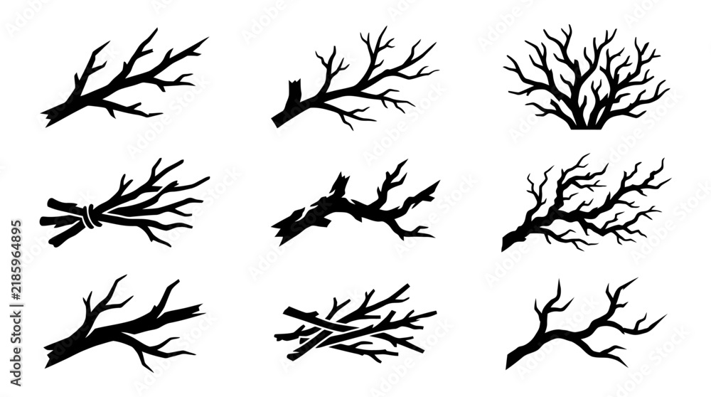 Obraz premium Collection of various bare tree branches.