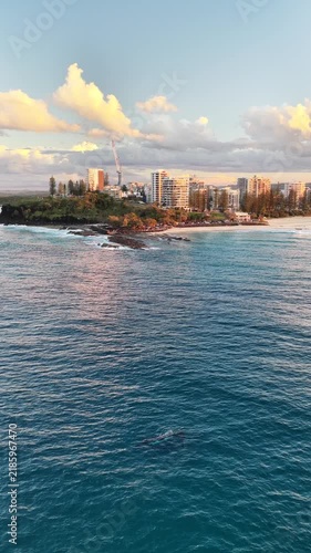 Snapper Rocks and the Coolangatta coastline at sunset, aerial drone footage, Gold Coast, Queensland Australia - vertical video