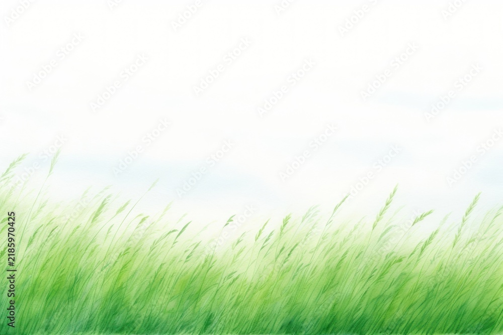 Fototapeta premium Meadow grass green vegetation outdoors nature.