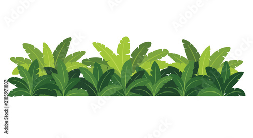 A dense horizontal border of lush tropical jungle foliage and green leaves.
