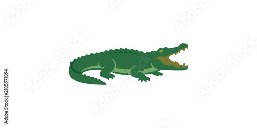 Stylized green crocodile illustration with open mouth.