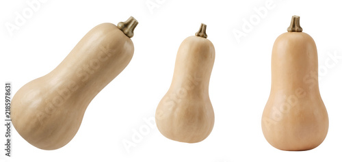 Three fresh organic butternut squash vegetables showing different angles and positions displayed with smooth skin textures and natural light highlights isolated purely on transparent background