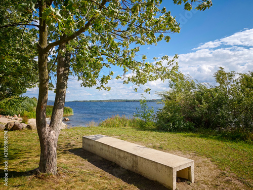 Senftenberger See im Sommer unter Bäumen und blauem Himmel