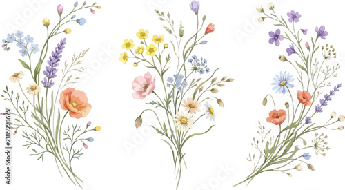 Set of three delicate watercolor wildflower bouquets featuring colorful botanical elements isolated on a clean white background for design projects