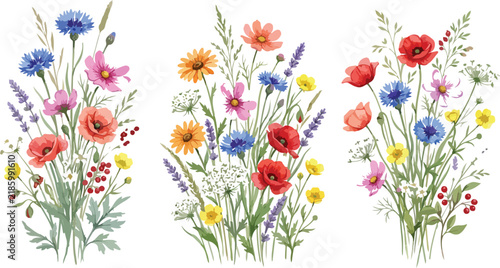 Set of three beautiful watercolor bouquets with colorful wildflowers and meadow plants isolated on a white background for design