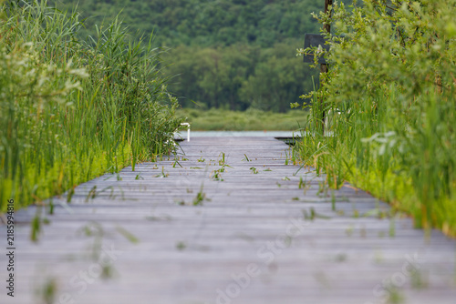 Steg im Kaltener See