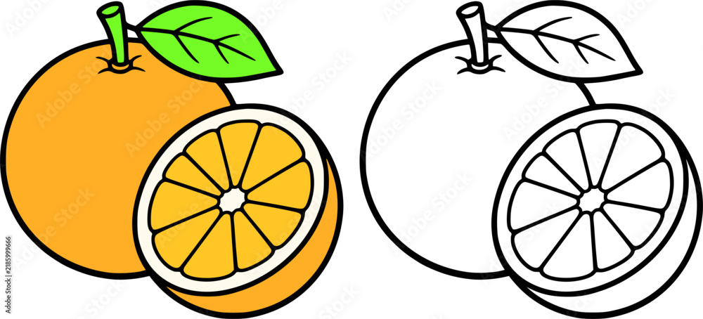 Fototapeta premium Orange fruit illustration icon in line art style and colored, coloring page for kids