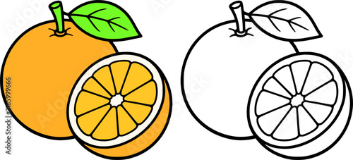 Orange fruit illustration icon in line art style and colored, coloring page for kids