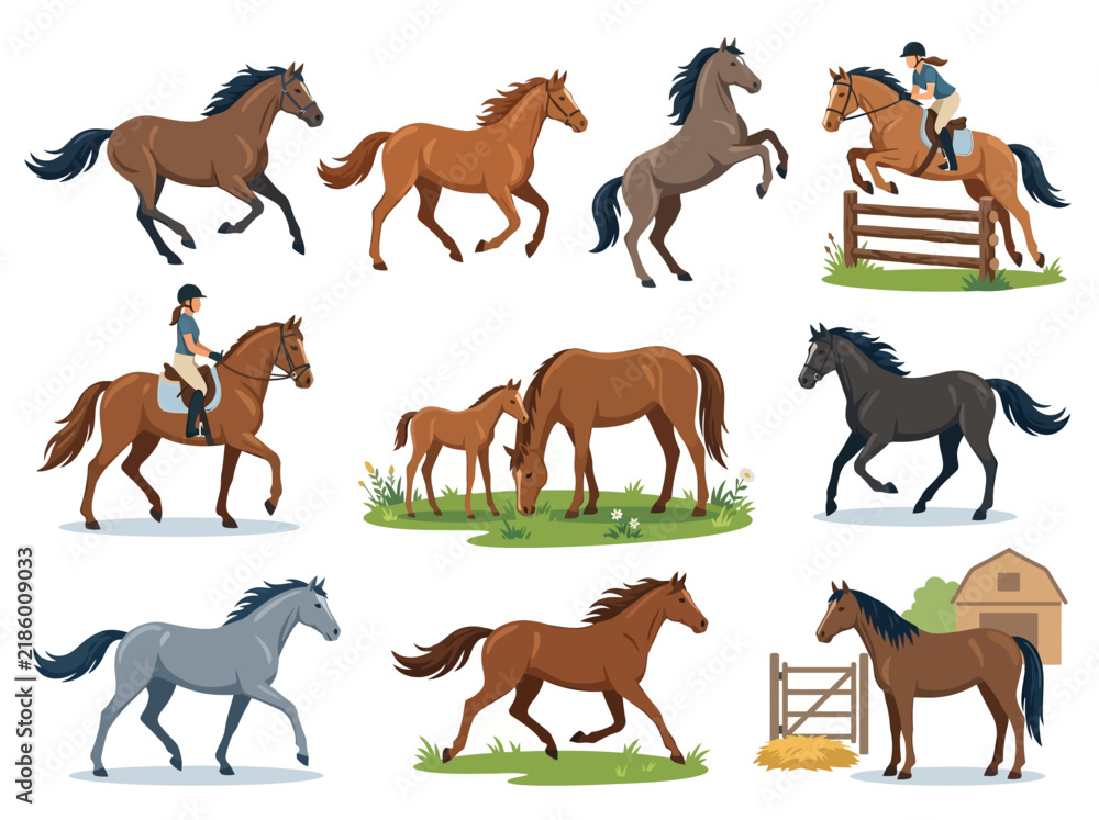 Obraz premium Diverse Collection Of Horses And Equestrian Activities Showcasing Grace And Movement