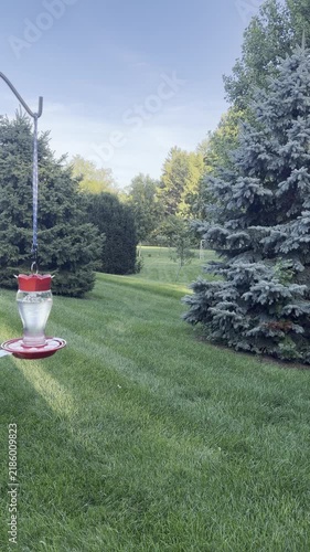 hummingbird feeder in yard