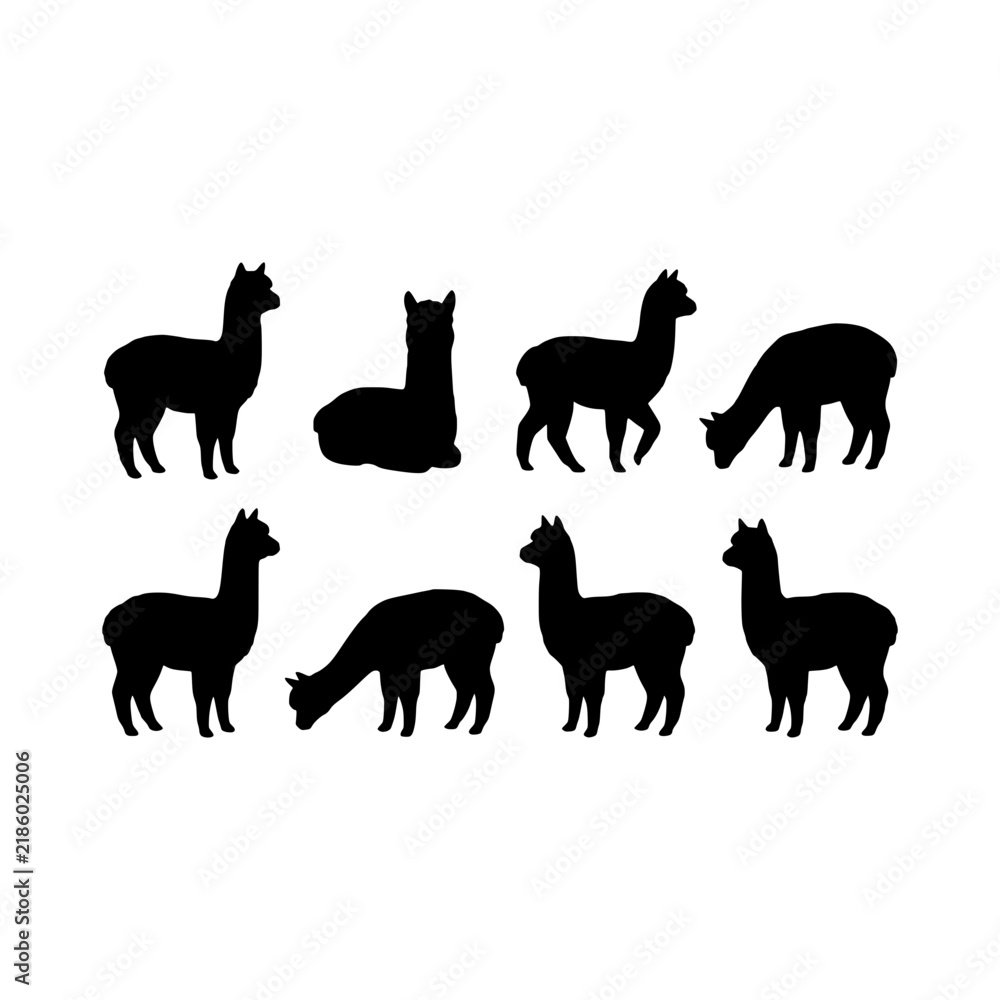 Obraz premium Alpacas standing sitting grazing silhouette vector illustration, Alpacas various poses silhouette design