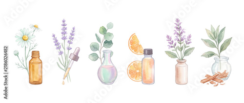 essential oil bottle watercolor set with herbs lavender eucalyptus chamomile orange for aromatherapy wellness skincare organic design isolated on black background cosmetic holistic concept graphics