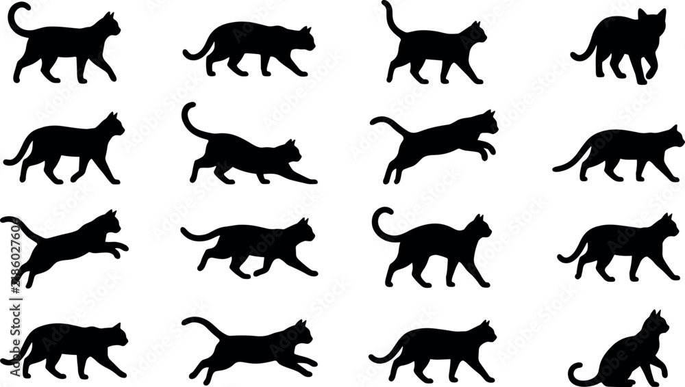Fototapeta premium Cat silhouette set featuring walking running jumping pouncing and sitting poses isolated on transparent background vector illustration for animal design projects