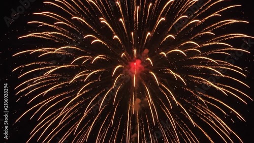 Spectacular Fireworks Display - A Night of Celebration and Wonder.