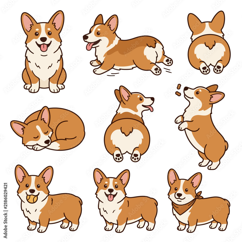 Fototapeta premium Adorable Corgi Dog Illustrations In Various Playful Poses For Commercial Use