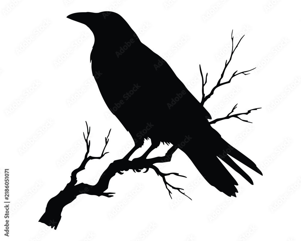 Obraz premium Silhouette of a crow perched on a tree branch
